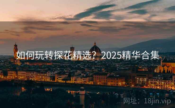 如何玩转探花精选?2025精华合集