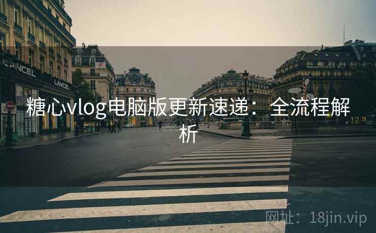 糖心vlog电脑版更新速递：全流程解析