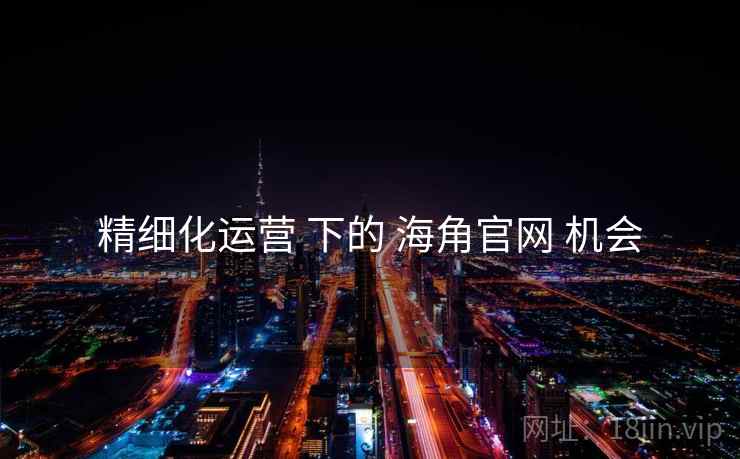 精细化运营 下的 海角官网 机会