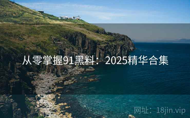从零掌握91黑料：2025精华合集