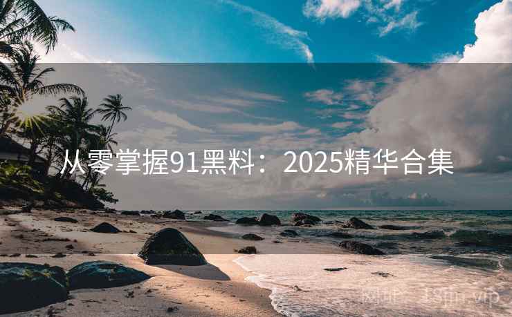 从零掌握91黑料:2025精华合集