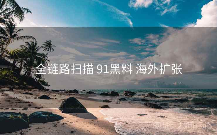 全链路扫描 91黑料 海外扩张