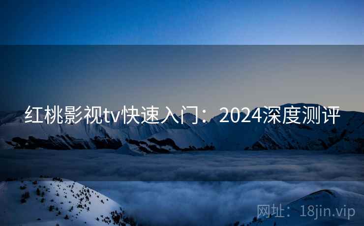 红桃影视tv快速入门：2024深度测评