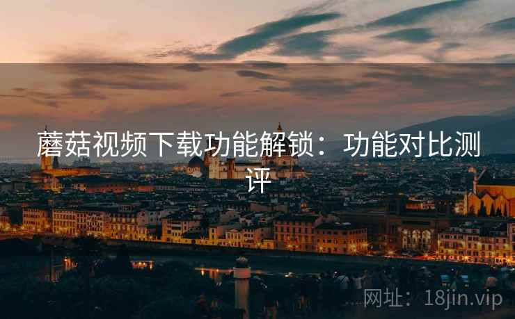 蘑菇视频下载功能解锁：功能对比测评