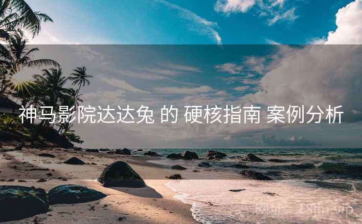 神马影院达达兔 的 硬核指南 案例分析