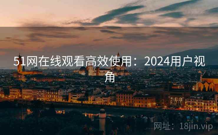 51网在线观看高效使用：2024用户视角