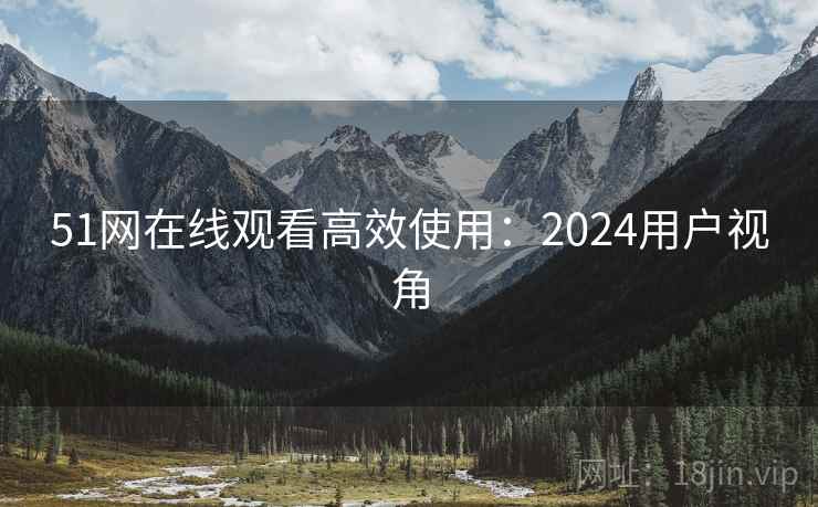 51网在线观看高效使用:2024用户视角