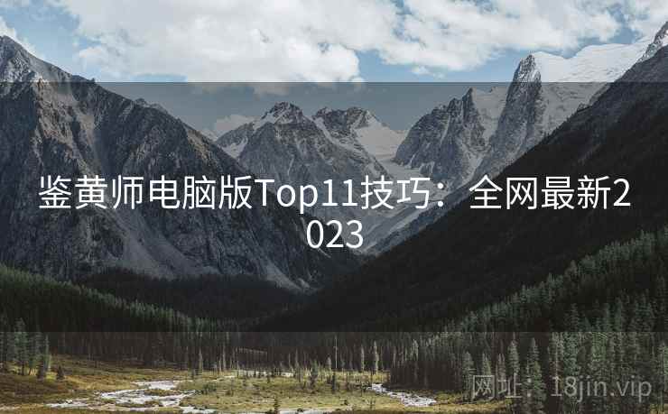 鉴黄师电脑版Top11技巧:全网最新2023