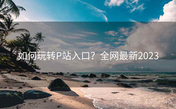 如何玩转P站入口？全网最新2023