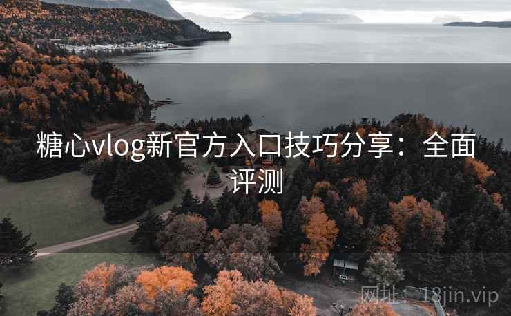 糖心vlog新官方入口技巧分享：全面评测