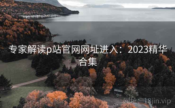 专家解读p站官网网址进入：2023精华合集