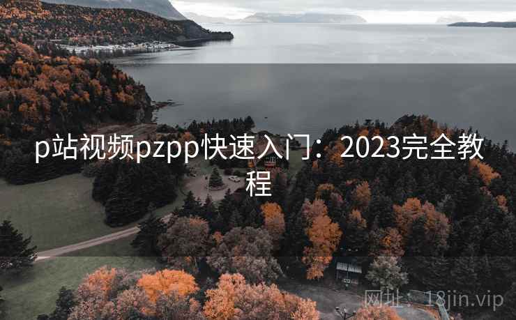 p站视频pzpp快速入门：2023完全教程